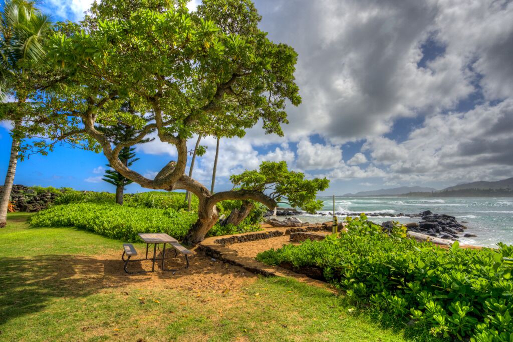 Photo of Others in Wailua