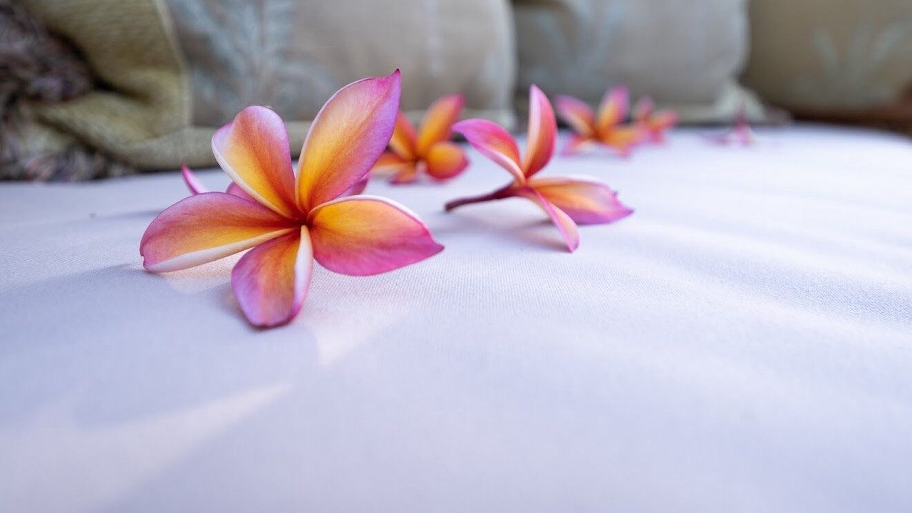 Photo of Bedroom in Diamond Head - Kapahulu - St. Louis
