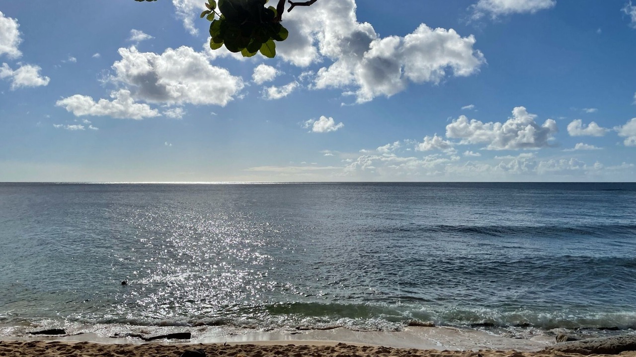 Photo of Others in Pupukea