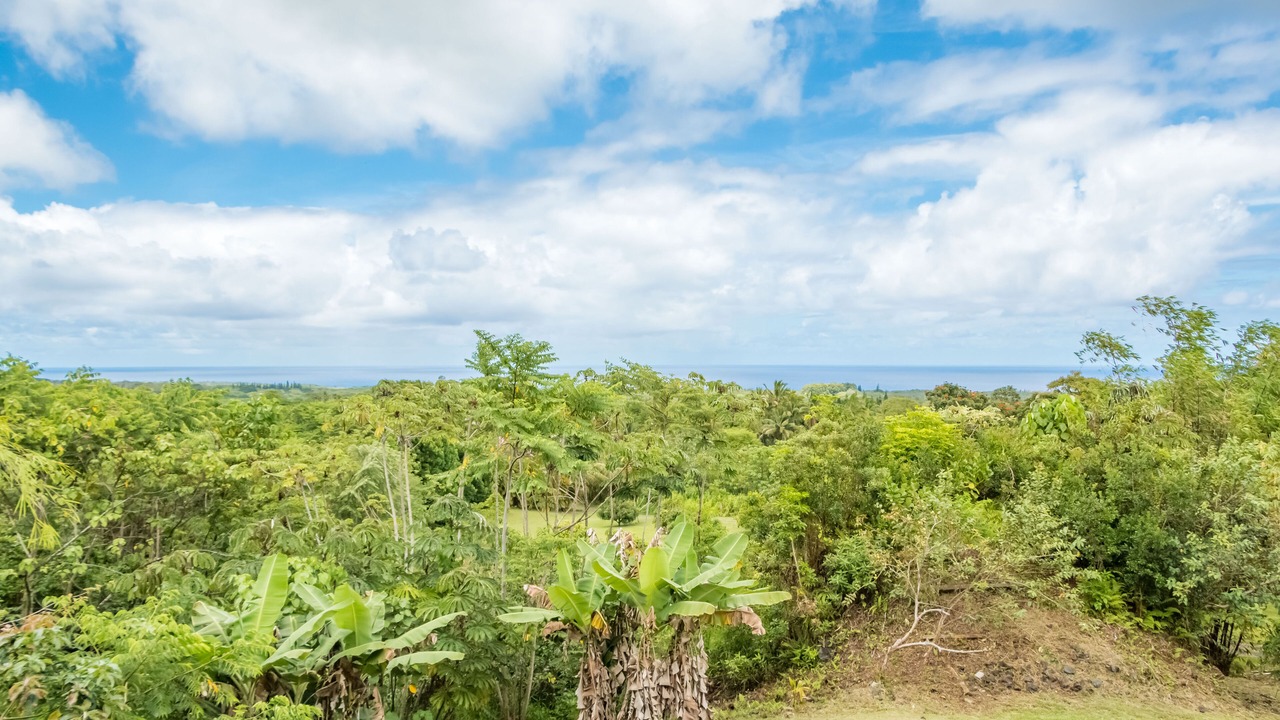 Photo of Outdoor in Kapoho