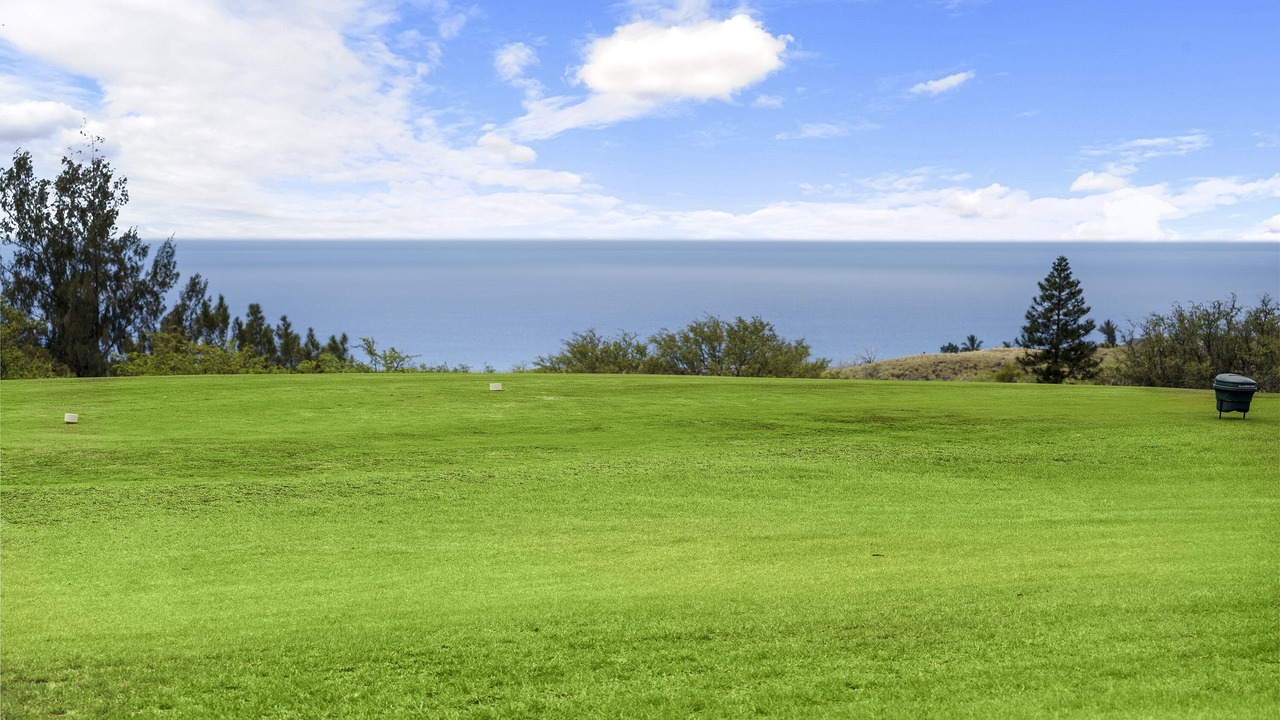 Photo of Others in Waikoloa