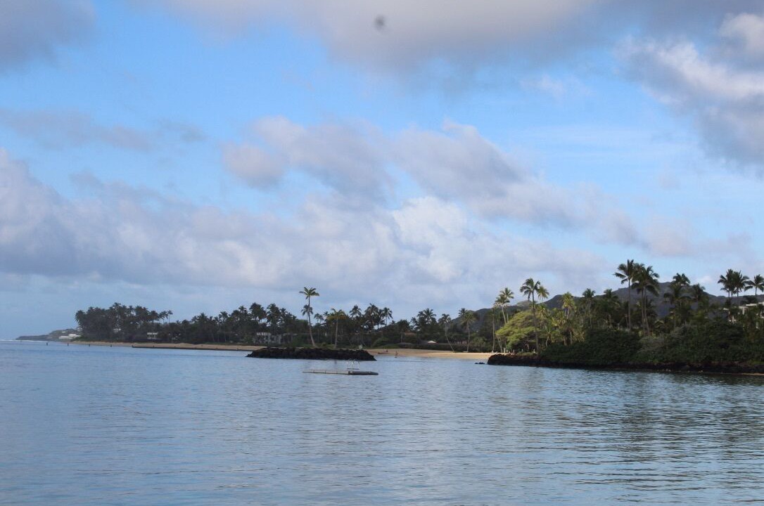 Photo of Others in Kahala