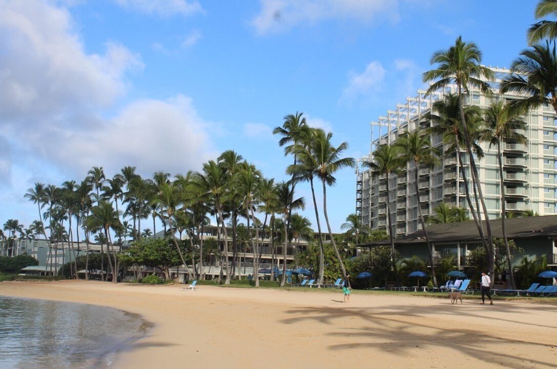 Photo of Others in Kahala