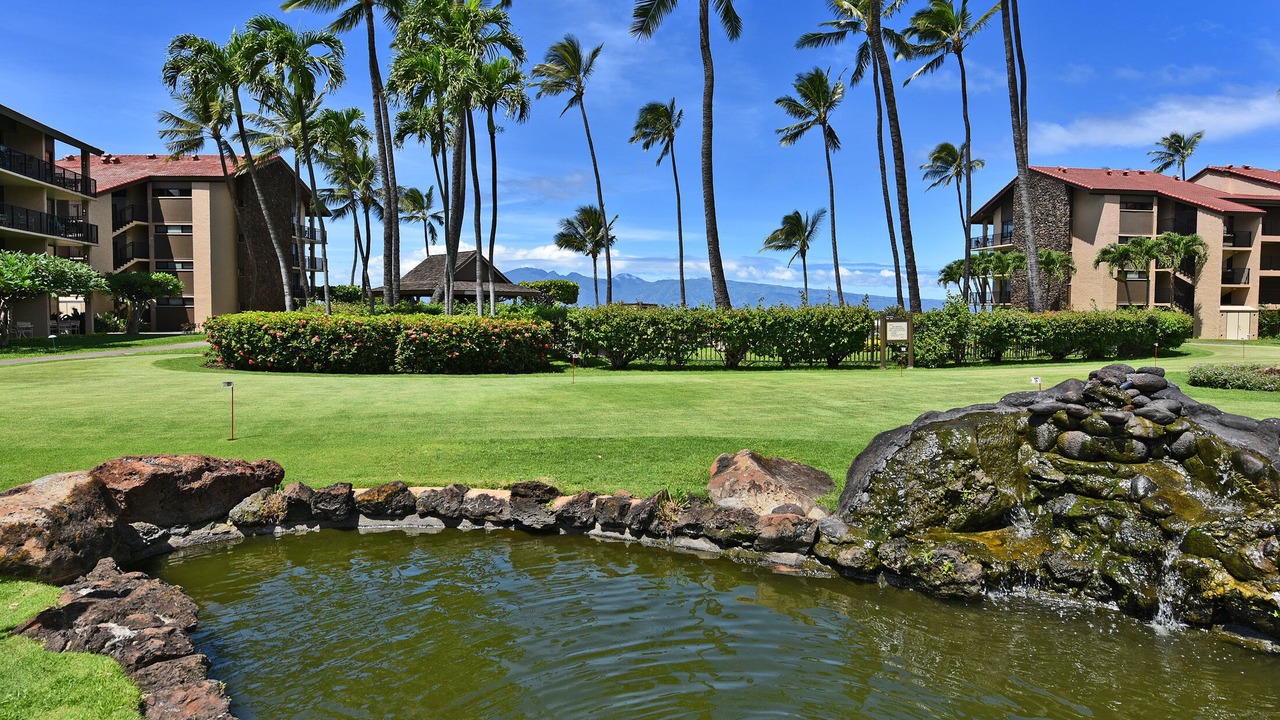 Photo of Outdoor in Honokowai