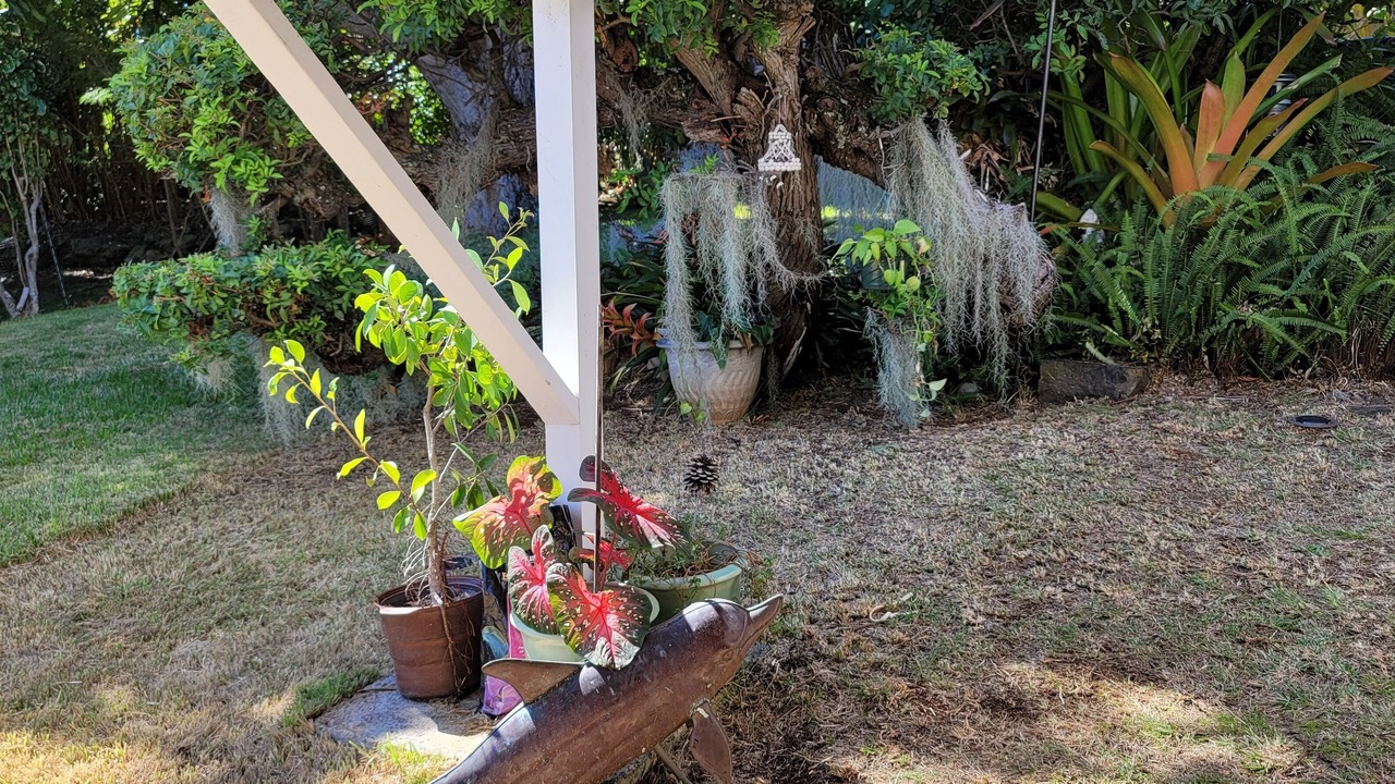 Photo of Others in Maunalani Heights