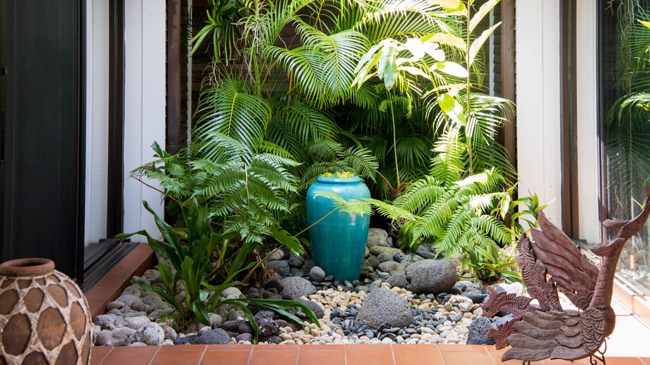 Photo of Outdoor in Kamuela