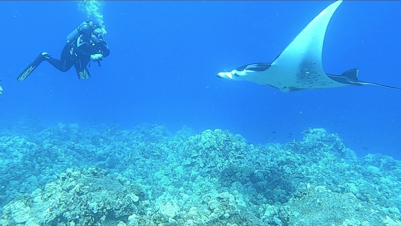 Photo of Others in Kailua-Kona