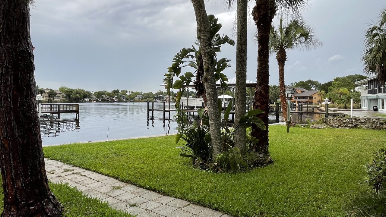 Photo of Others in Homosassa