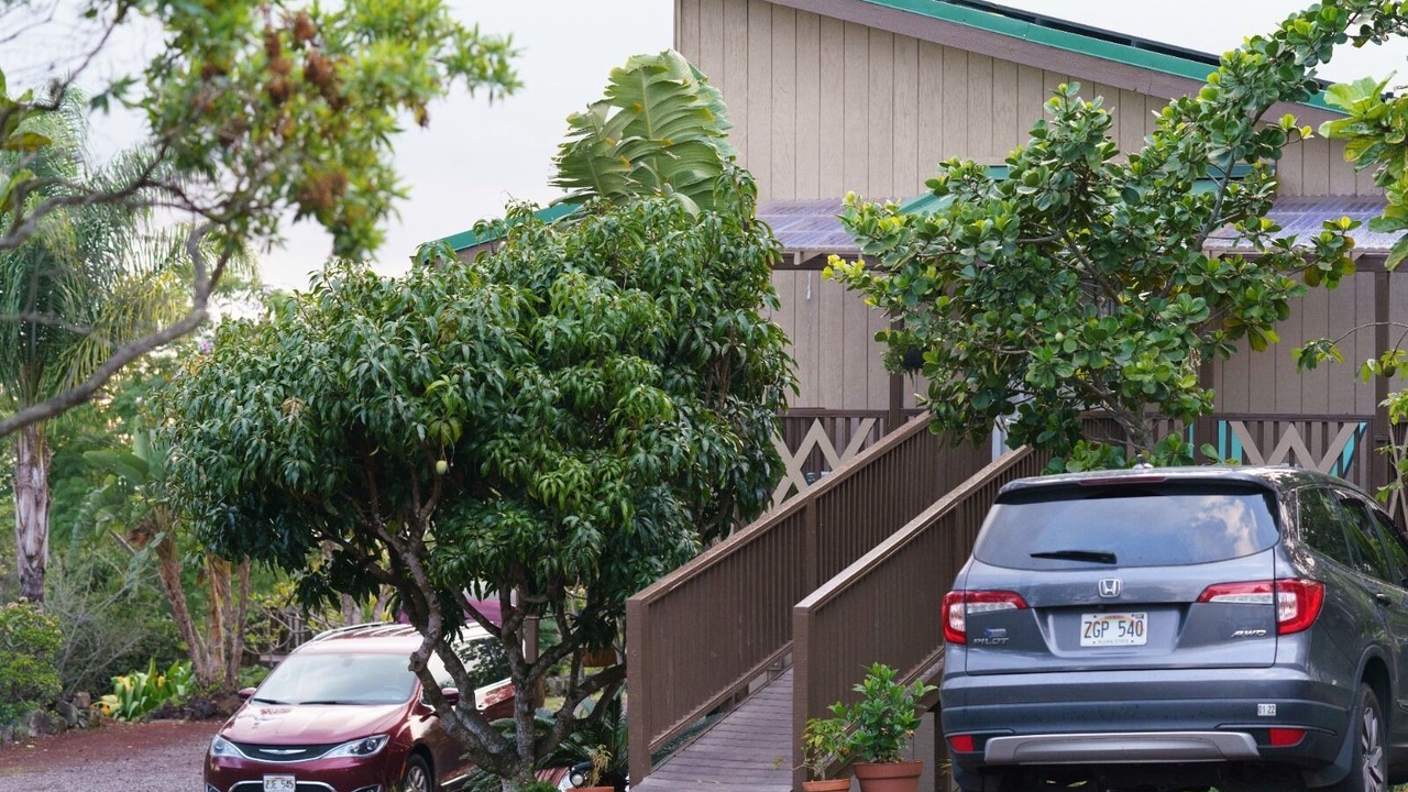 Photo of Outdoor in Ocean View