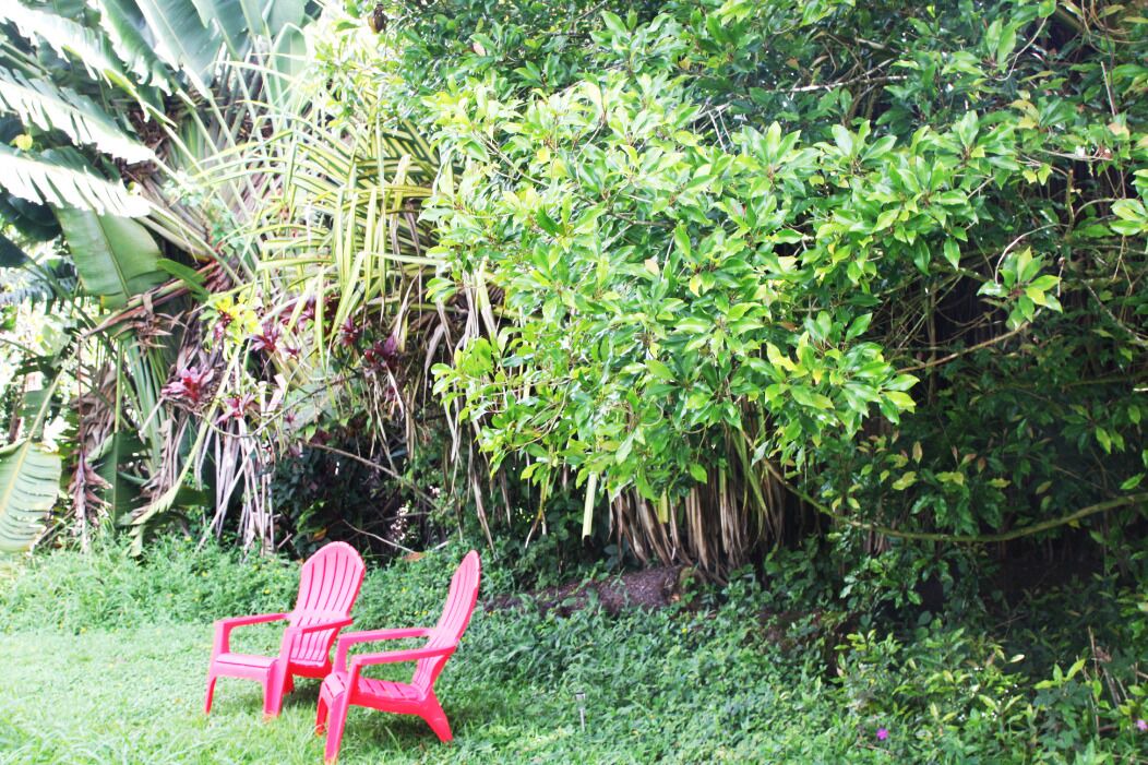 Photo of Others in Hilo