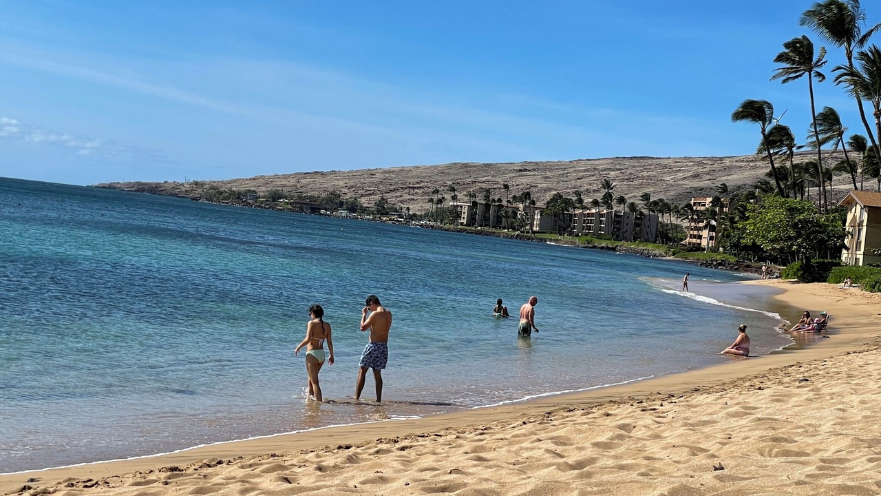Photo of Others in Maalaea