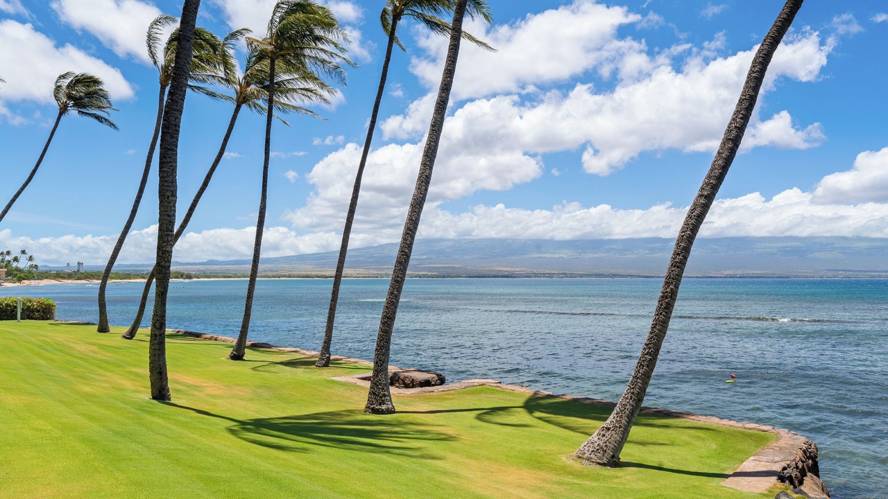 Photo of Others in Maalaea