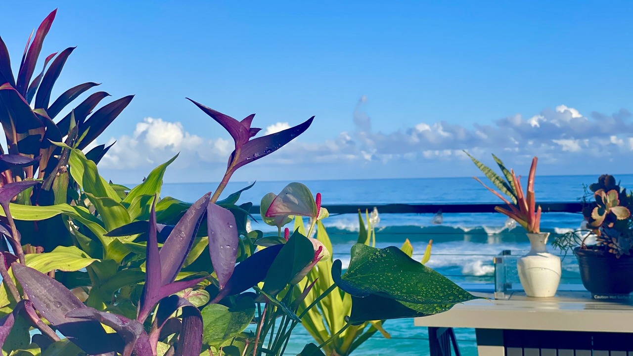 Photo of Outdoor in Pupukea
