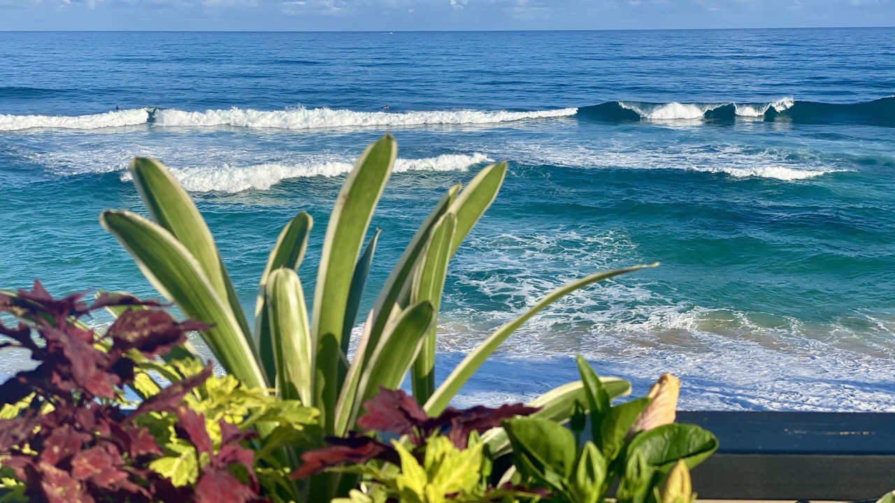 Photo of Others in Pupukea