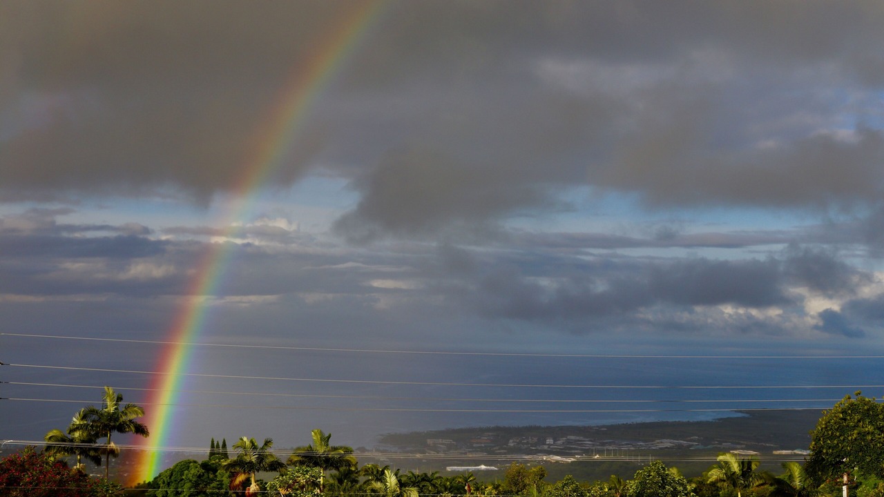 Photo of Others in Holualoa