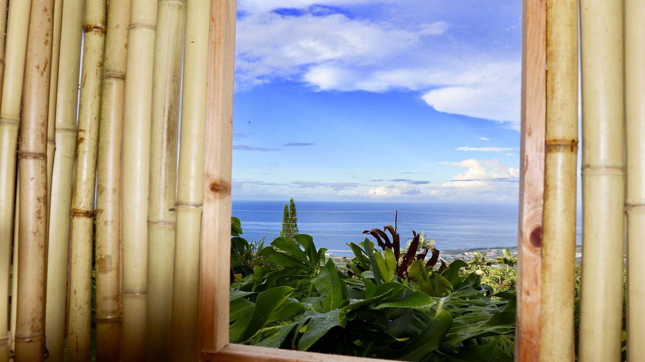 Photo of Others in Holualoa