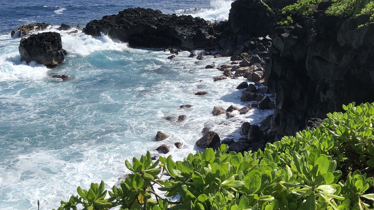 Photo of Others in Kapoho