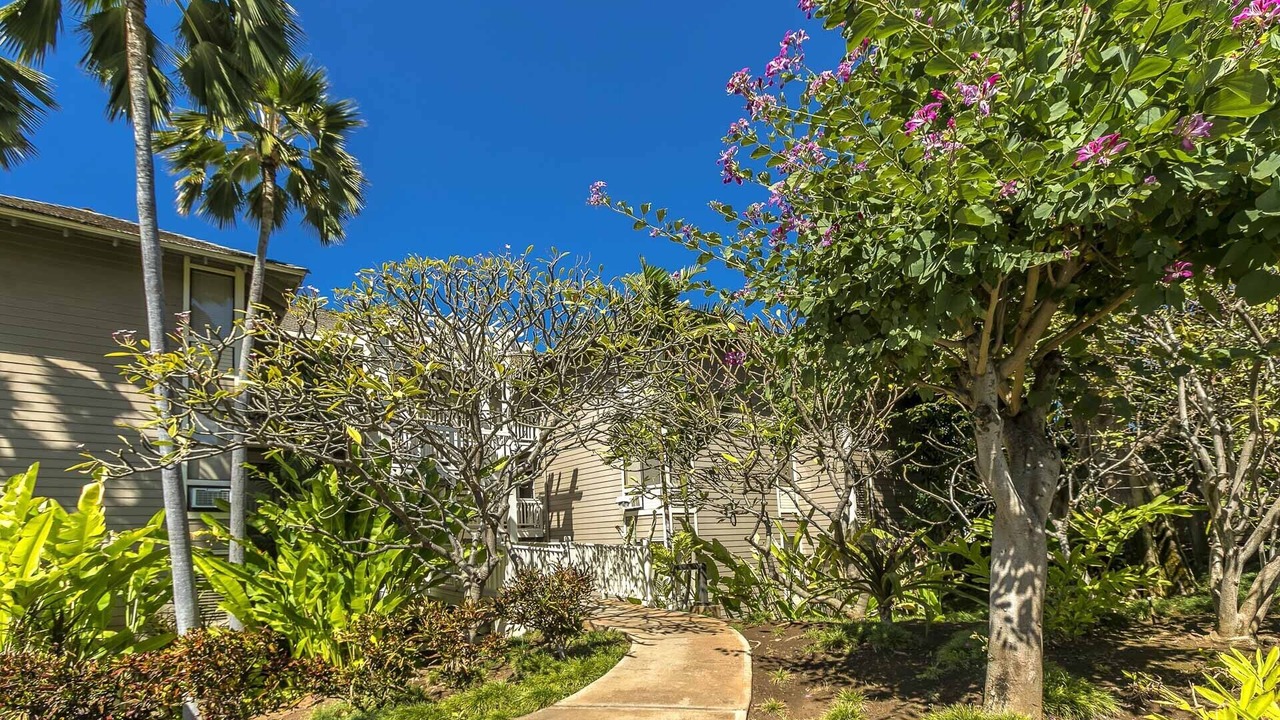 Photo of Outdoor in Wailea