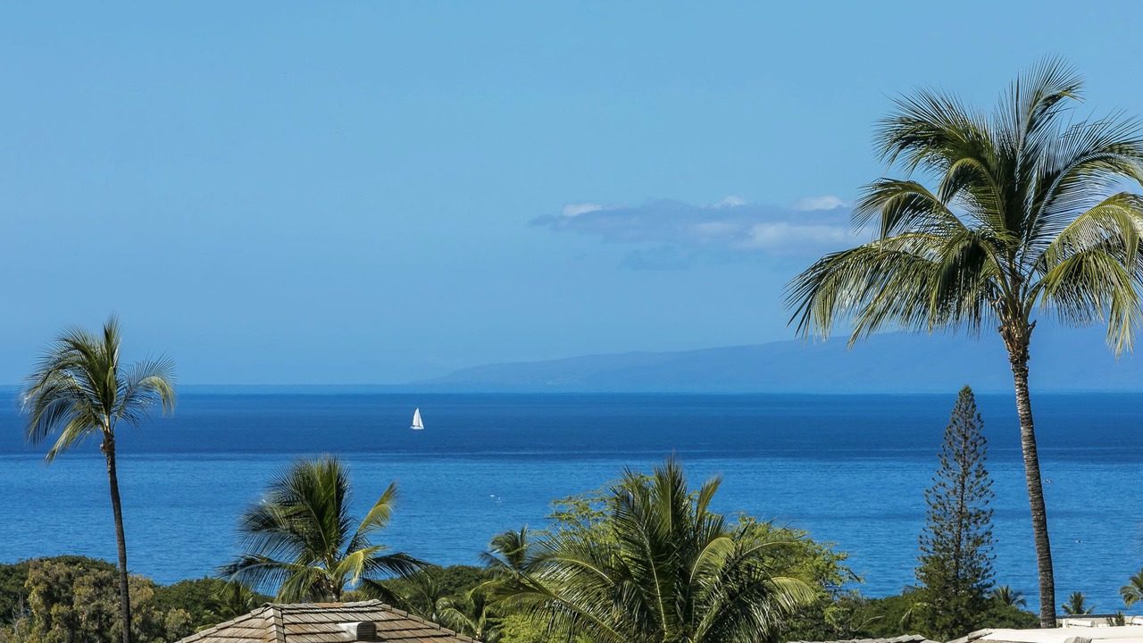 Photo of Others in Wailea