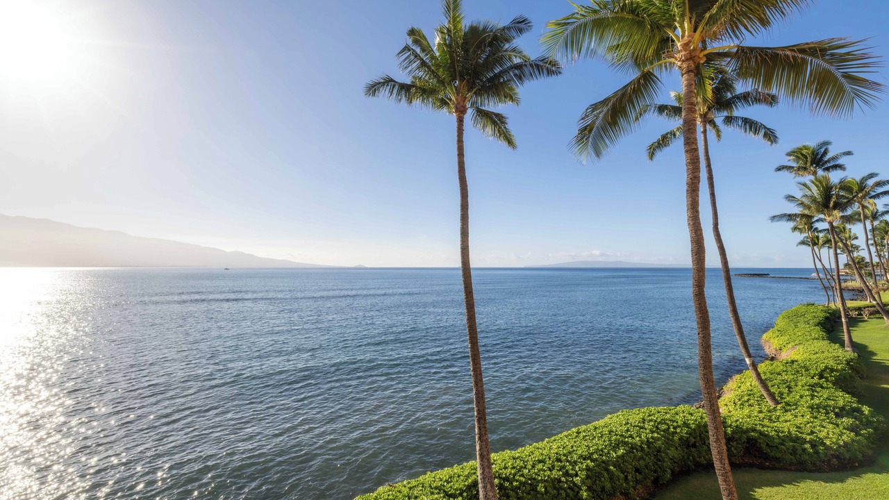 Photo of Others in Maalaea