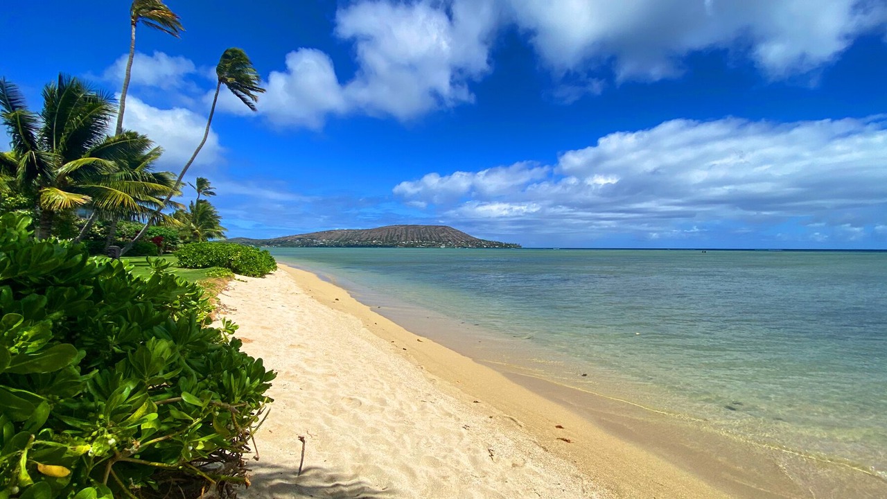 Photo of Others in Eastern Honolulu