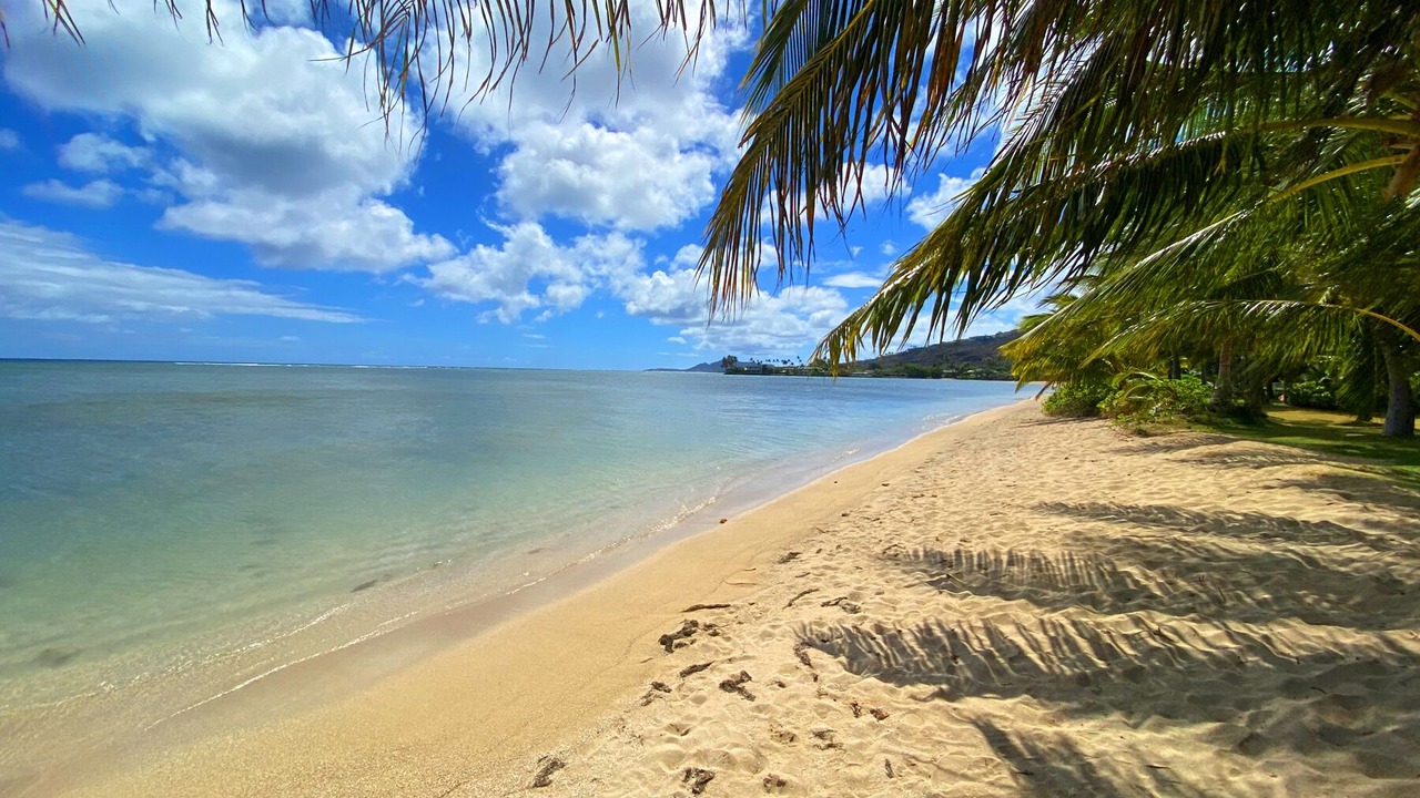 Photo of Others in Eastern Honolulu