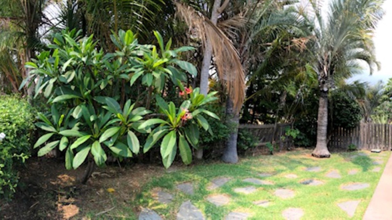 Photo of Outdoor in Waikoloa