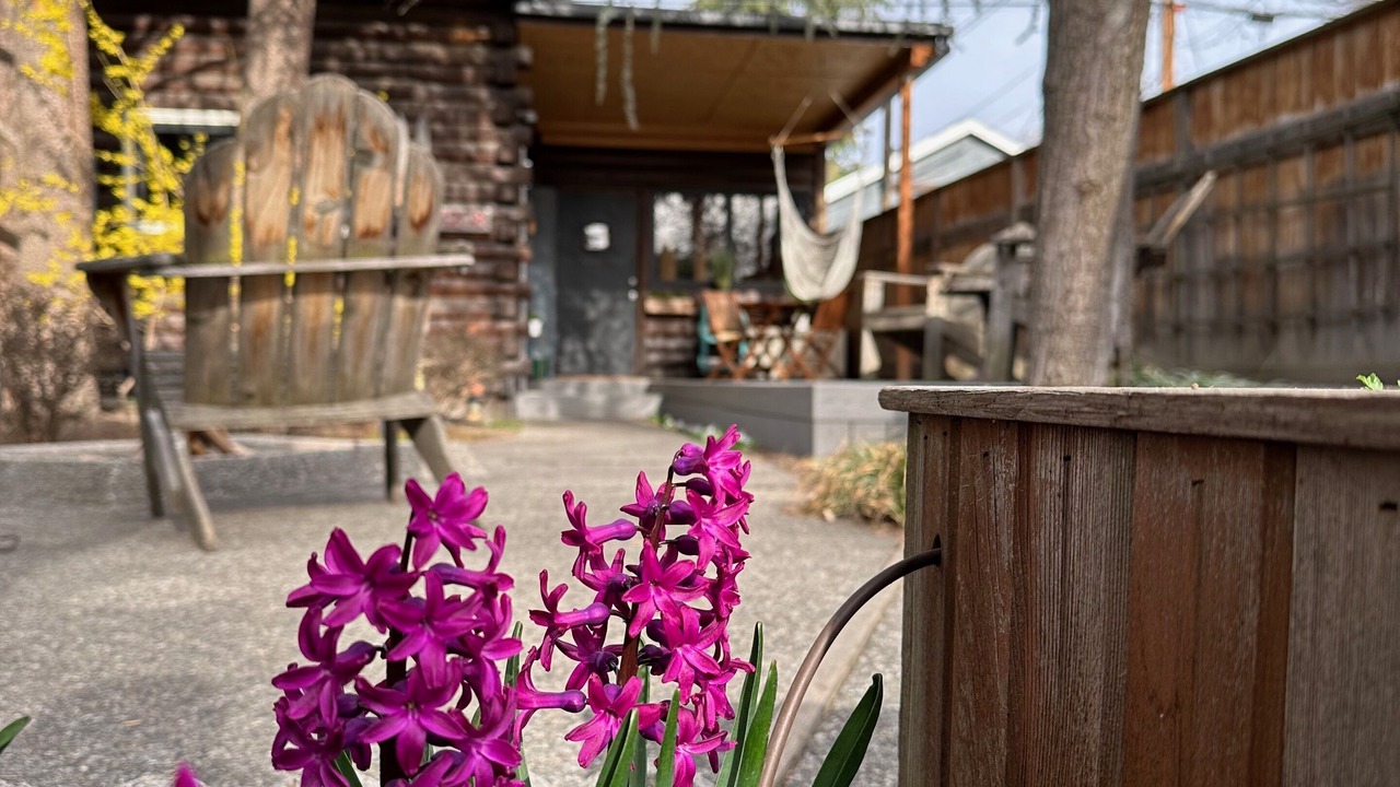 Photo of Outdoor in North End