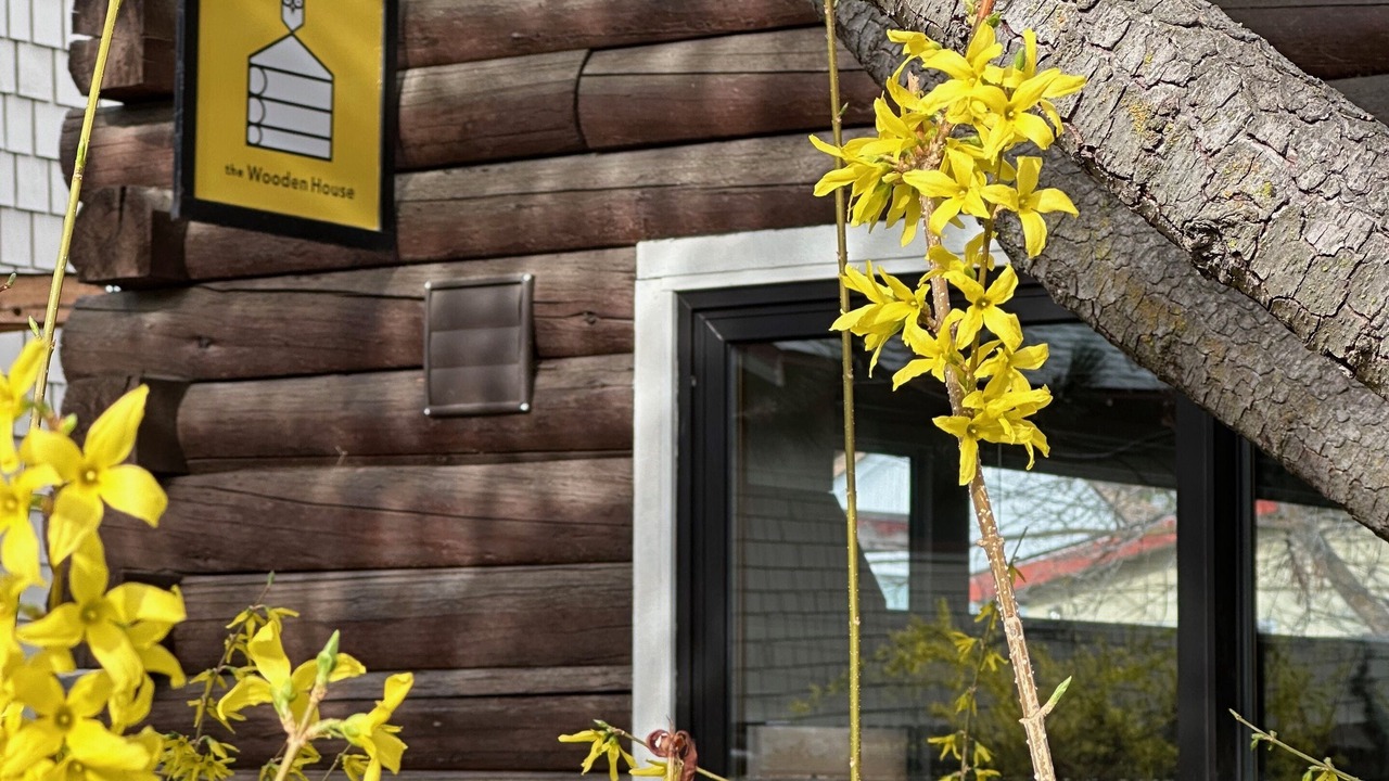 Photo of Outdoor in North End