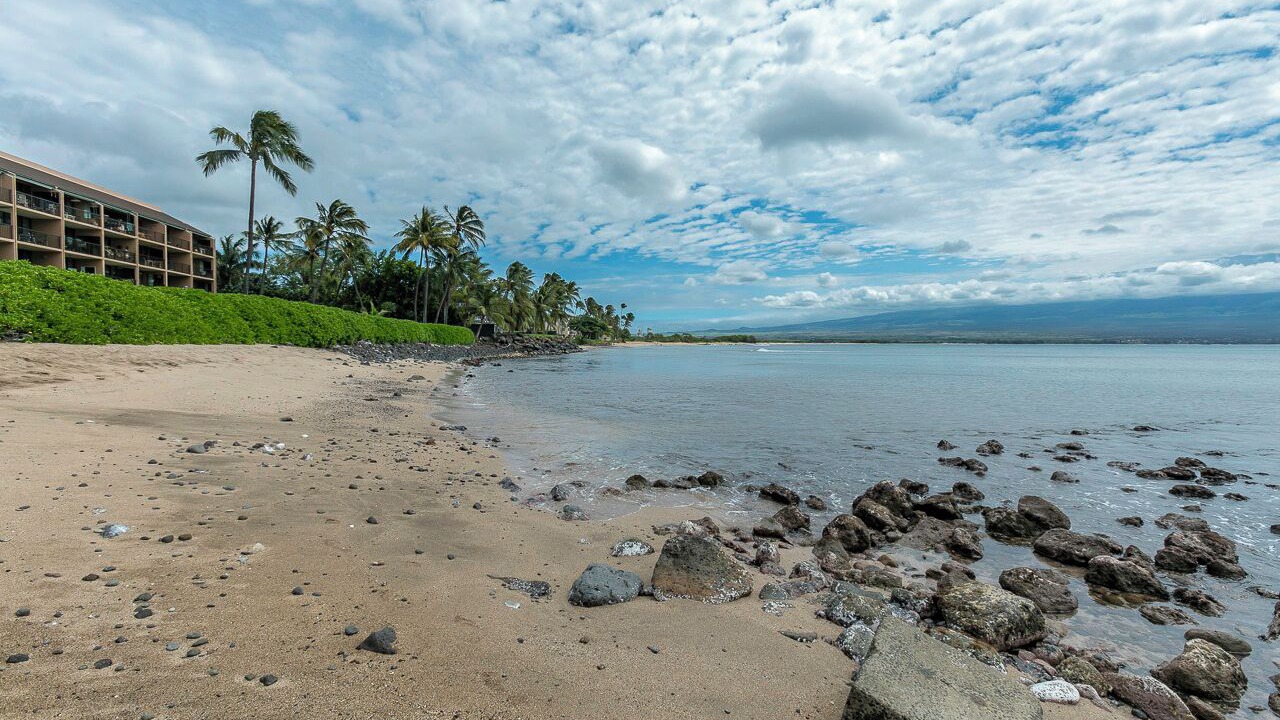 Photo of Others in Maalaea