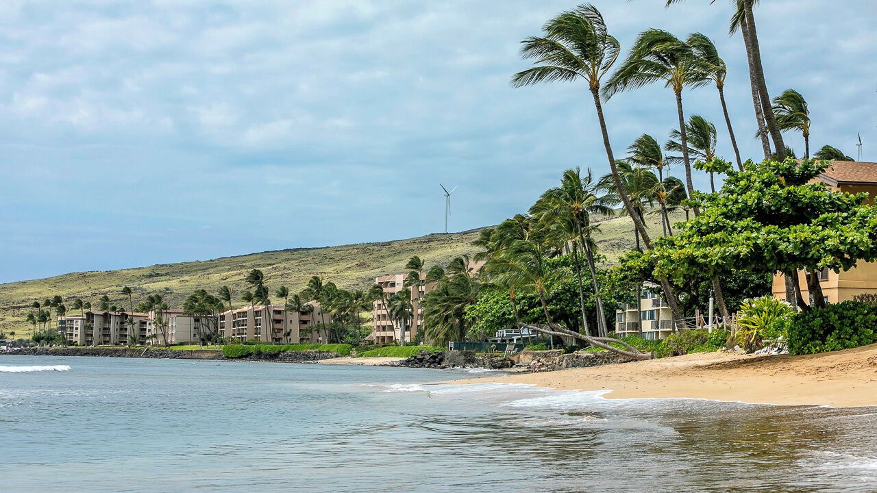 Photo of Others in Maalaea