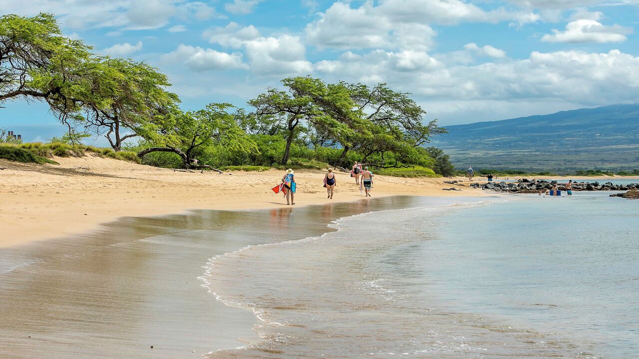 Photo of Others in Maalaea