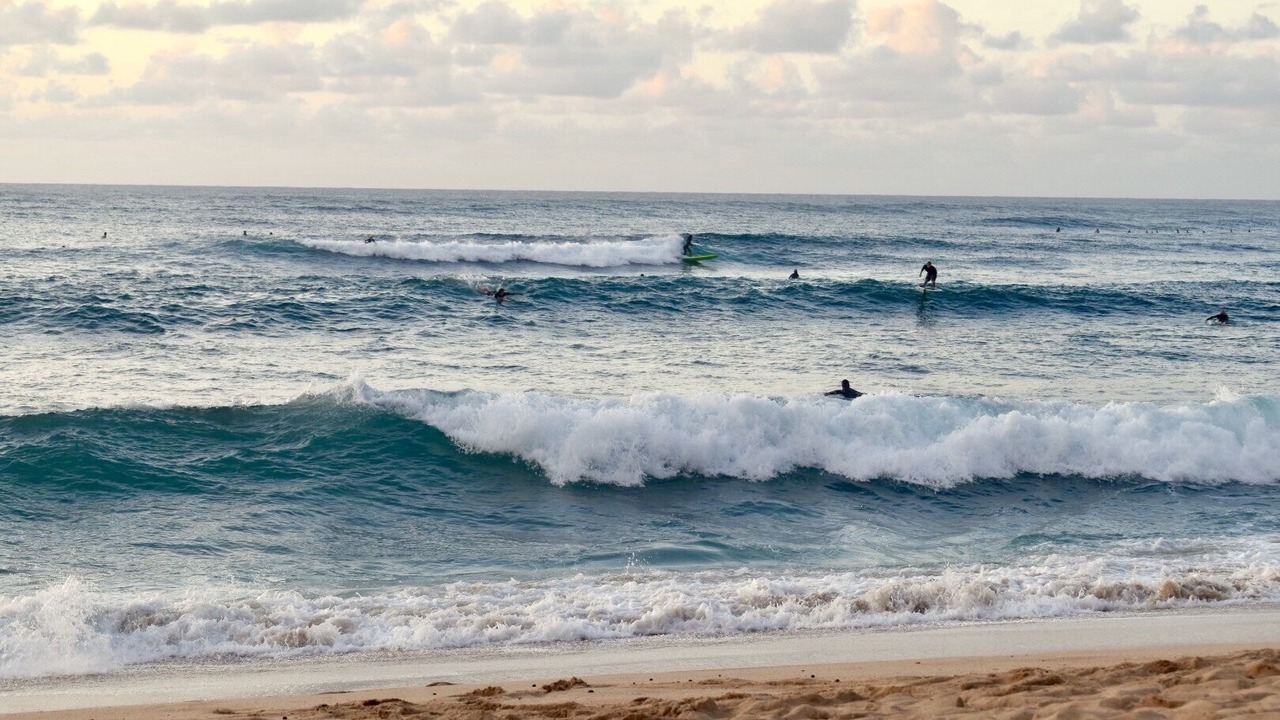 Photo of Others in Pupukea
