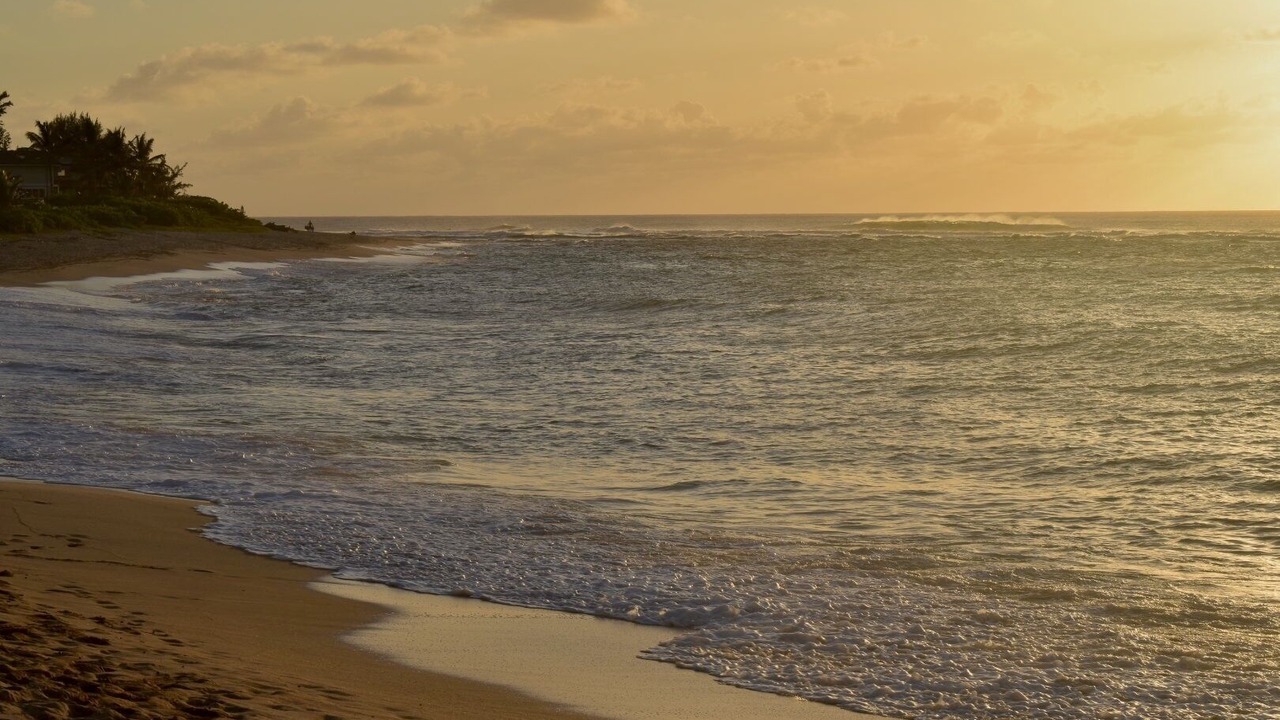 Photo of Others in Pupukea
