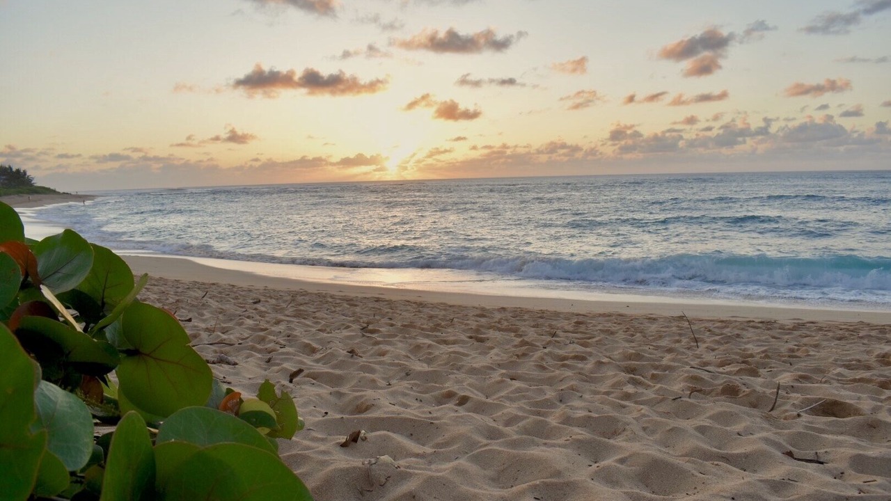 Photo of Others in Pupukea