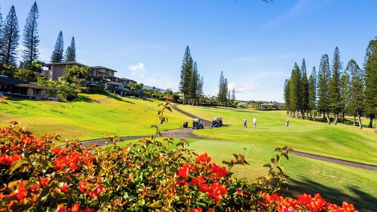 Photo of Outdoor in Kapalua