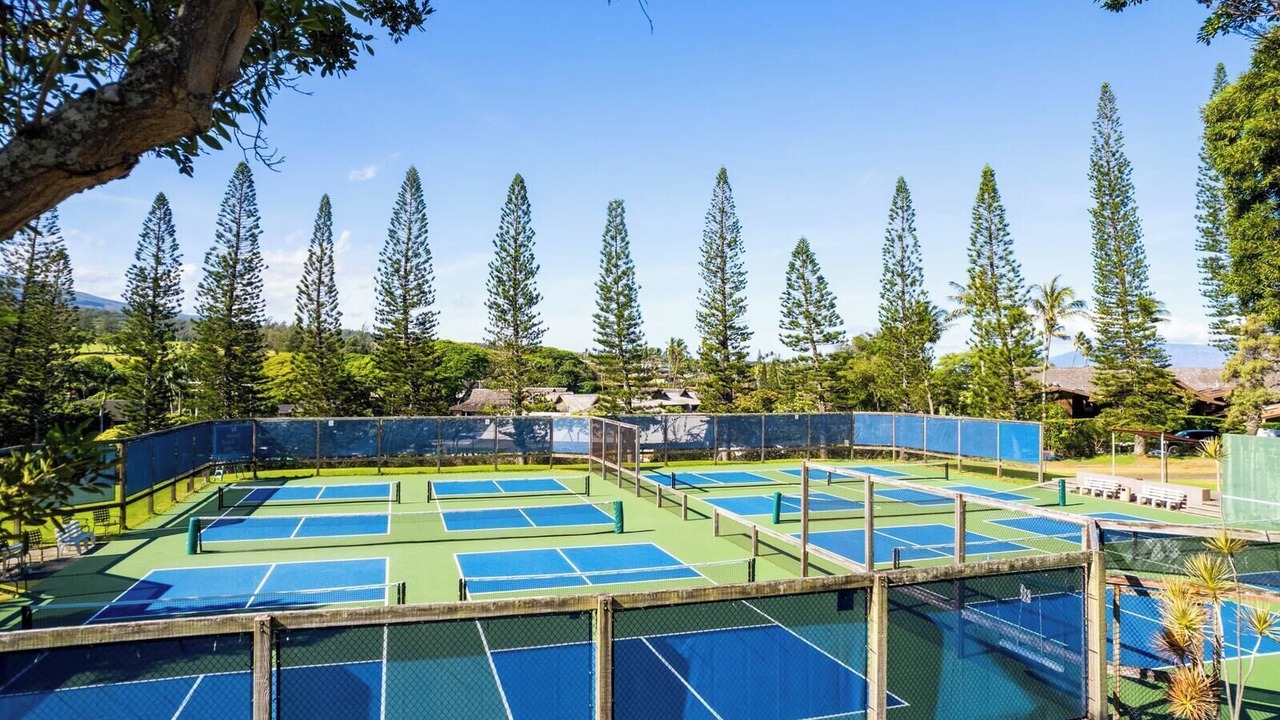 Photo of Others in Kapalua