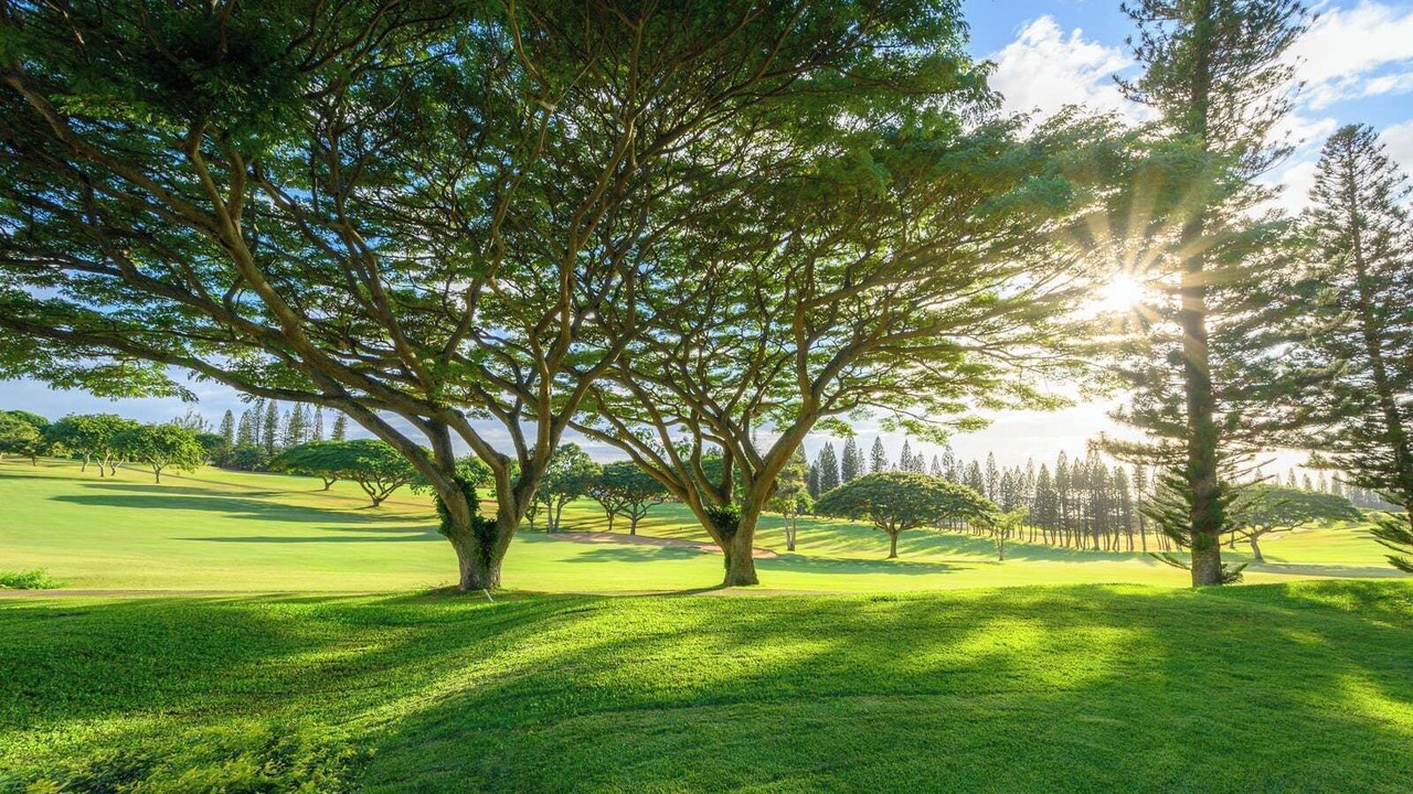 Photo of Others in Kapalua