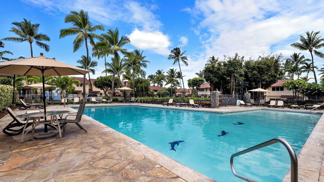 Photo of Outdoor in Kahaluu Bay