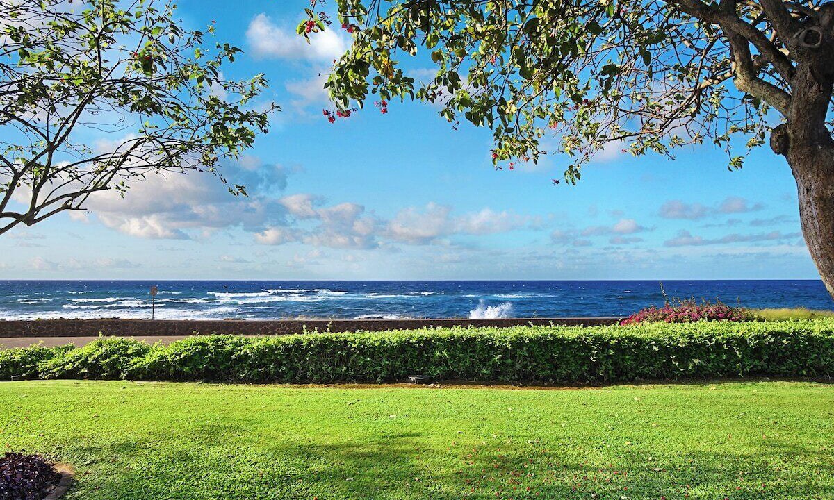 Photo of Others in Poipu