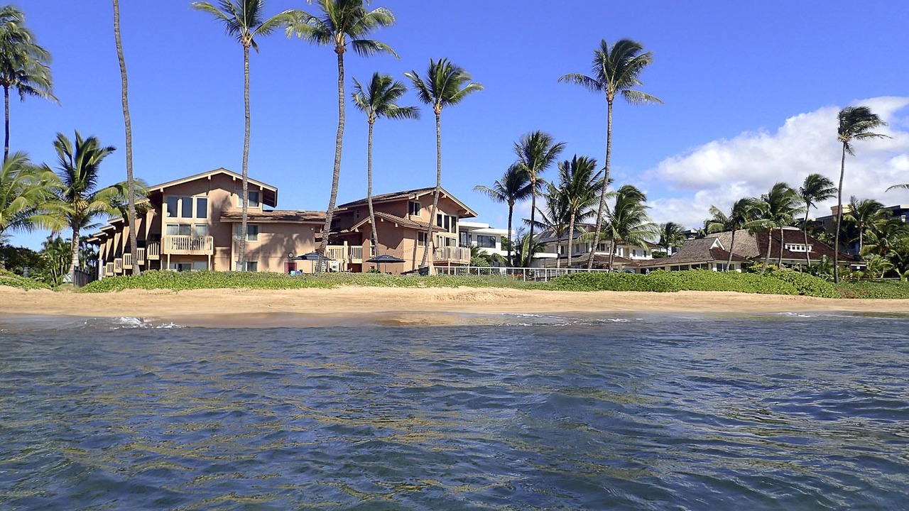 Photo of Others in Kihei