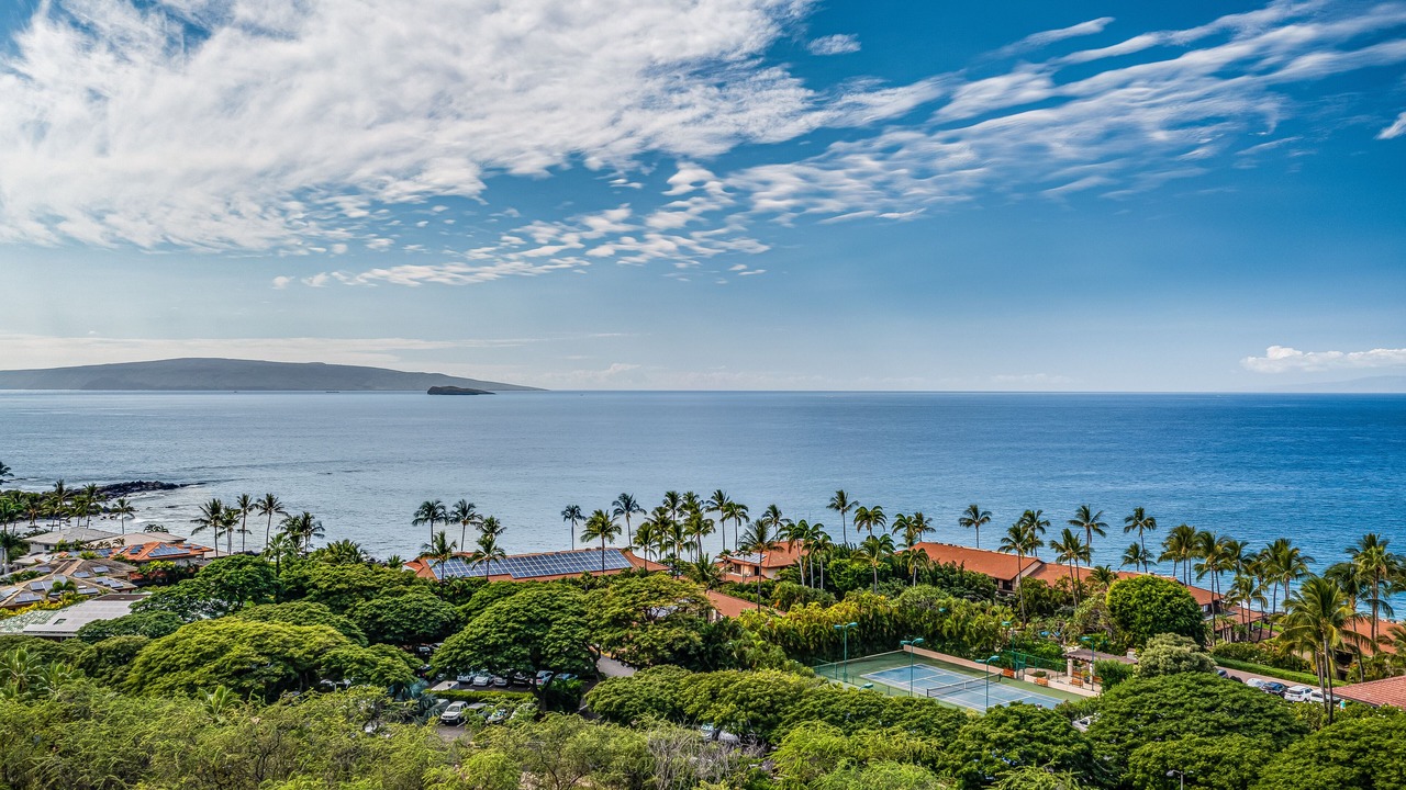Photo of Others in Wailea