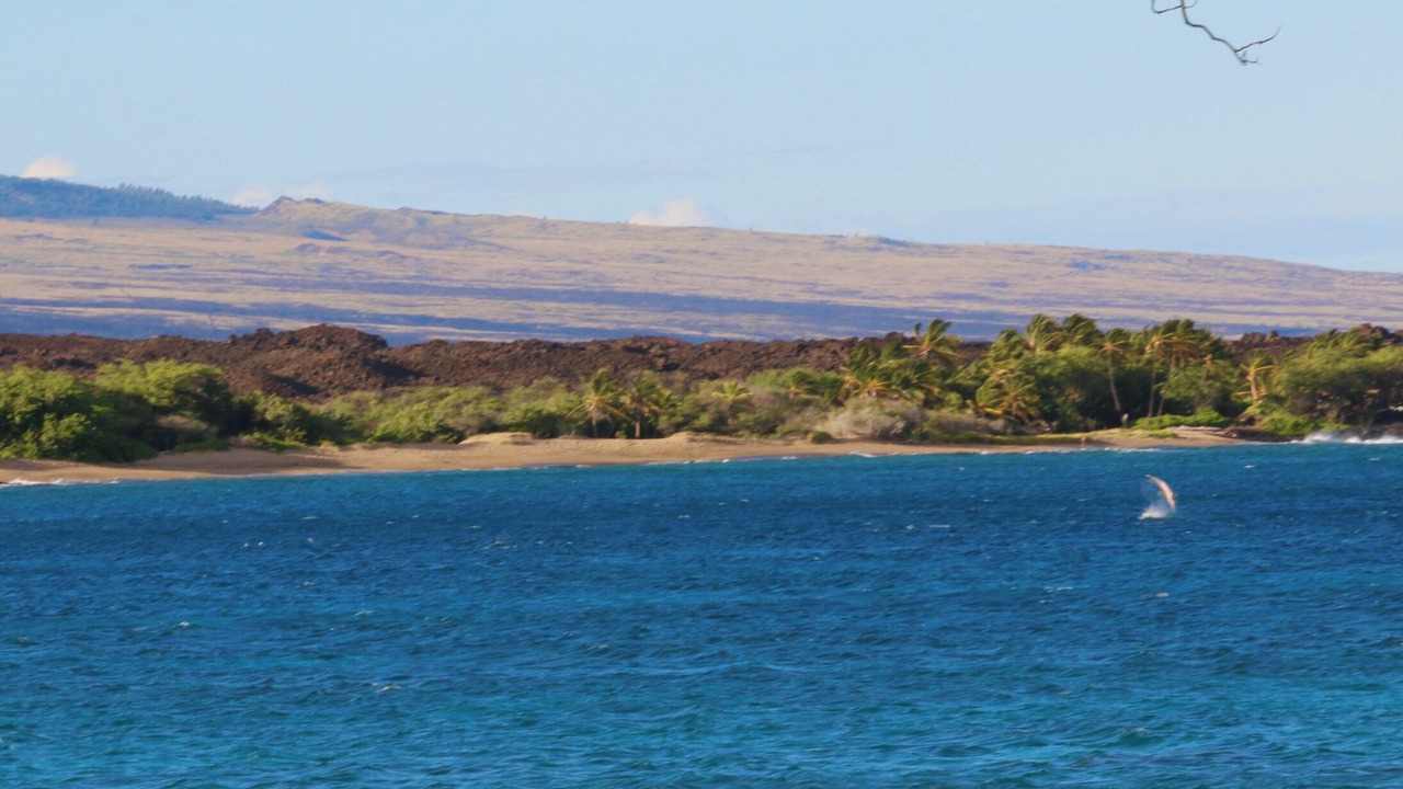 Photo of Others in Waikoloa
