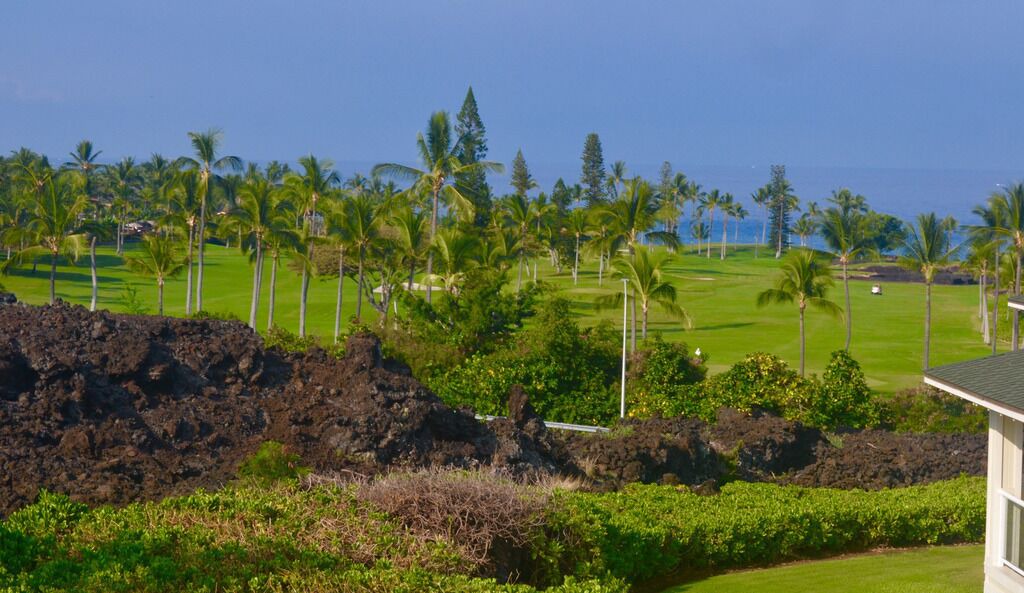 Photo of Others in Kahaluu Bay