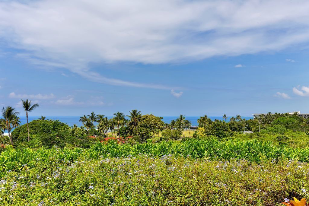 Photo of Others in Kahaluu-Keauhou