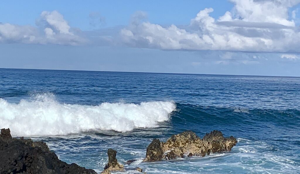 Photo of Others in Keauhou