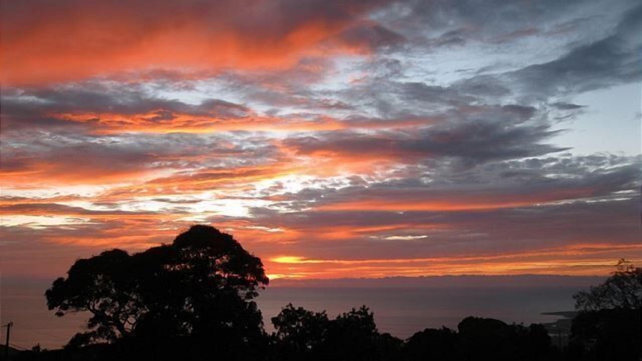 Photo of Others in Holualoa