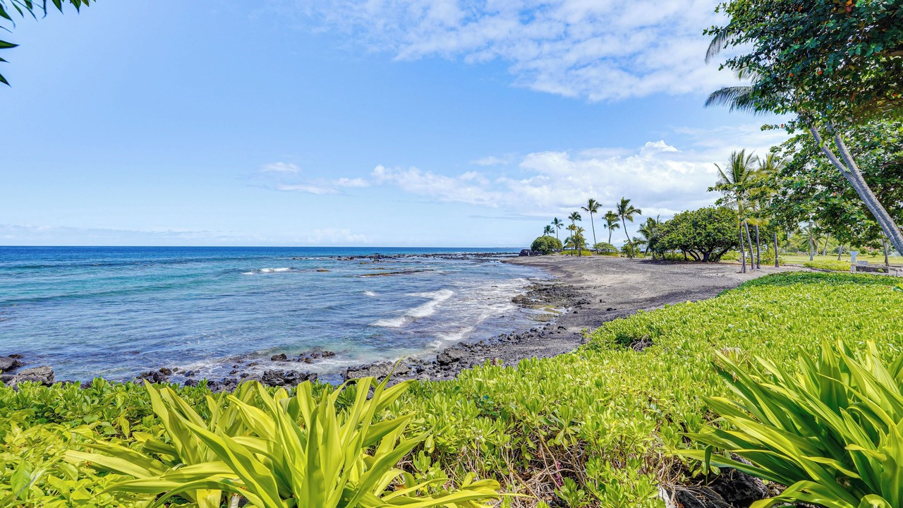 Photo of Others in Kahaluu Bay