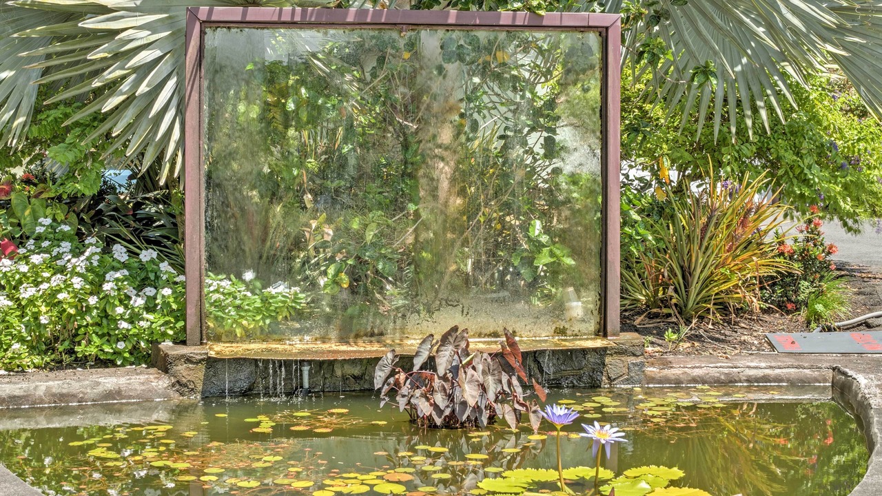 Photo of Outdoor in Keaau
