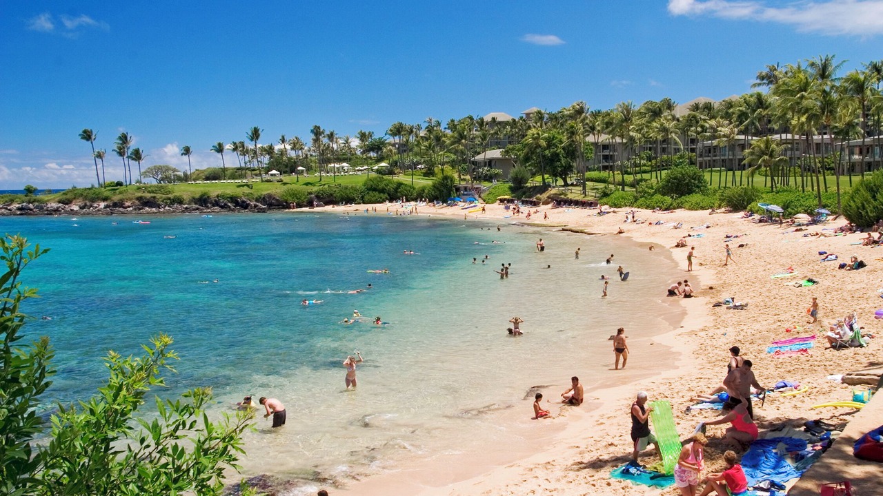 Photo of Others in Napili